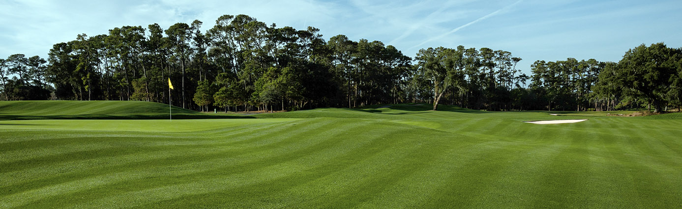 TPC Sawgrass