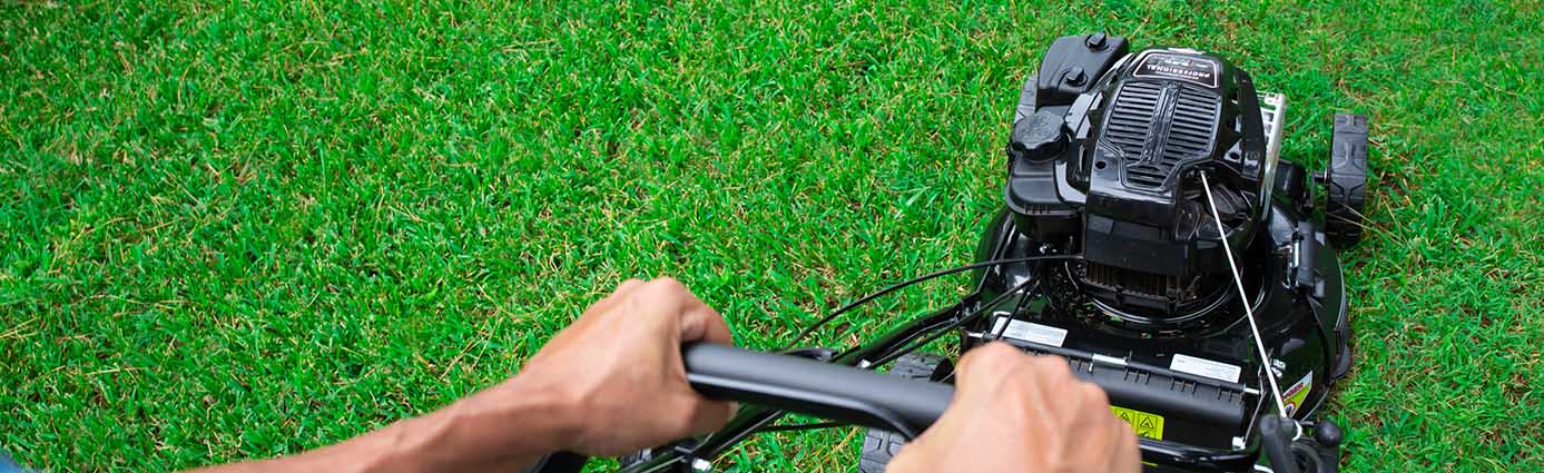 Homeowner mowing healthy lawn